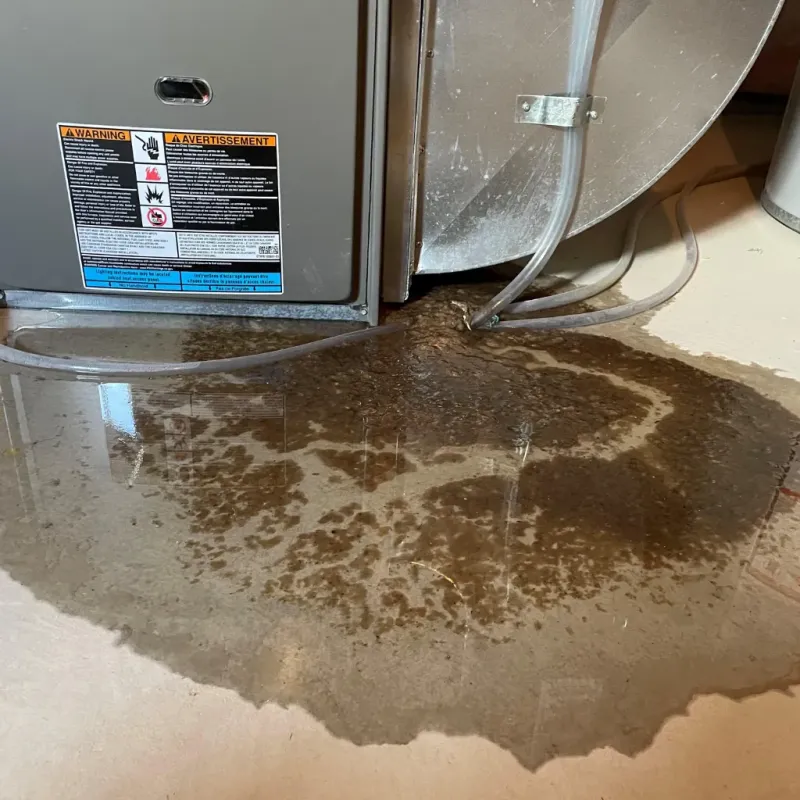 Appliance Leak Cleanup in Tiltonsville, OH