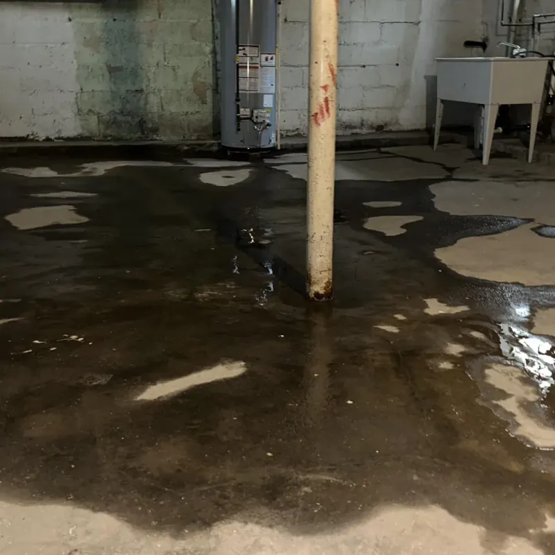 Emergency Water Extraction And Removal in Tiltonsville, OH